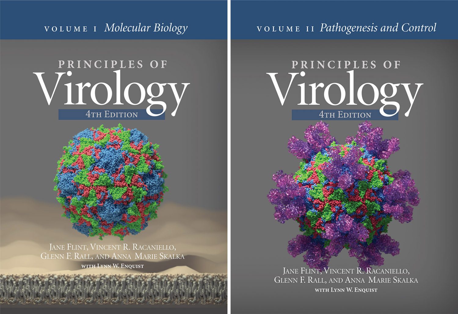 Principles of Virology 4th Edition VI and V2