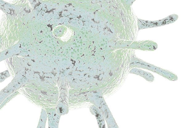 Virus