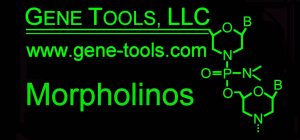 Gene Tools LLC