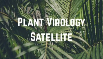 Plant Virology- Satellite - 25 Plant Virology- Satellite - 25